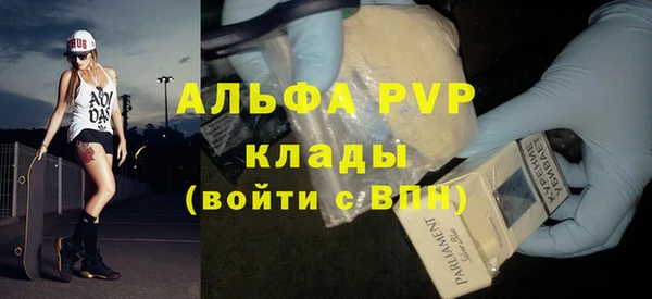 МДПВ Бородино