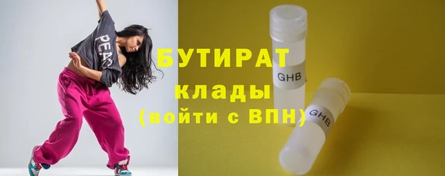 МДПВ Бородино