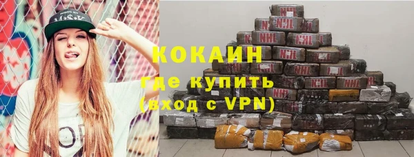 МДПВ Бородино
