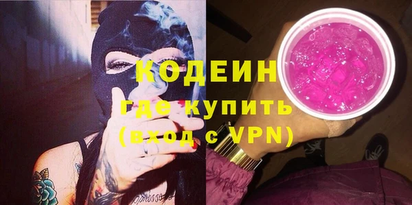 МДПВ Бородино