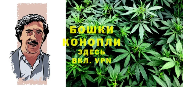 МДПВ Бородино
