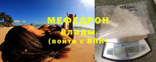 МДПВ Бородино